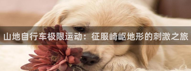 尊龙凯时|山地自行车极限运动:征服崎岖地形的刺激之旅(图1) 尊龙凯时