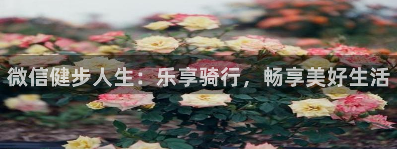 尊龙凯时-人生就是搏|微信健步人生:乐享骑行,畅享美好生活(图1) 尊龙凯时-人生就是搏