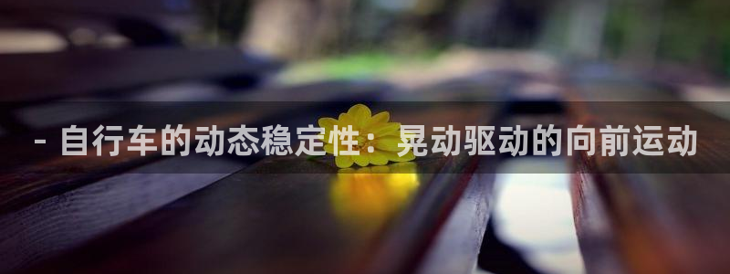 尊龙凯时怎么样|- 自行车的动态稳定性:晃动驱动的向前运动(图1) 尊龙凯时怎么样