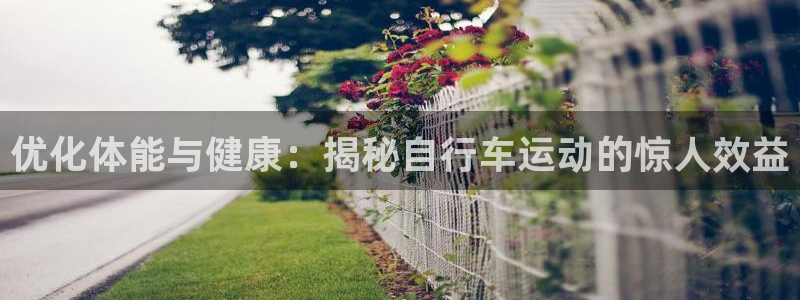 尊龙凯时网站进入|优化体能与健康:揭秘自行车运动的惊人效益(图1) 尊龙凯时网站进入