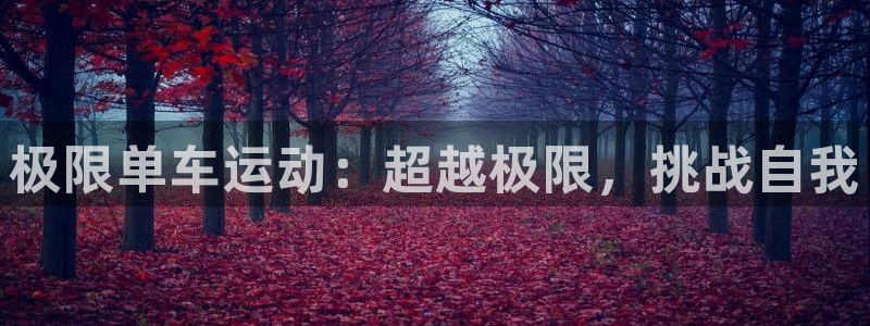 Z6尊龙老版|极限单车运动:超越极限,挑战自我(图1) Z6尊龙老版