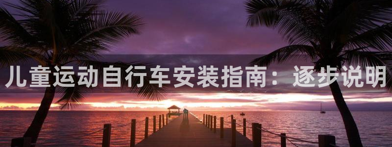 尊龙凯时 人生就是搏|儿童运动自行车安装指南:逐步说明(图1) 尊龙凯时 人生就是搏