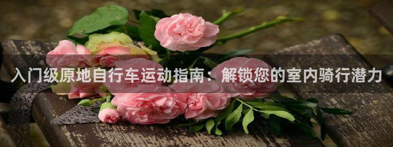 尊龙凯时娱乐|入门级原地自行车运动指南:解锁您的室内骑行潜力(图1) 尊龙凯时娱乐