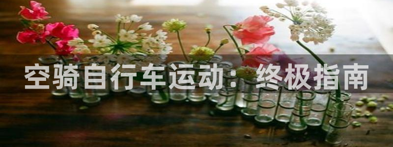 尊龙凯时平台|空骑自行车运动:终极指南(图1) 尊龙凯时平台