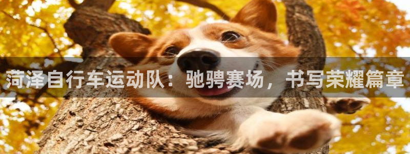 尊龙凯时人生就是博·(中国)官网|菏泽自行车运动队:驰骋赛场,书写荣耀篇章(图1) 尊龙凯时人生就是博·(中国)官网
