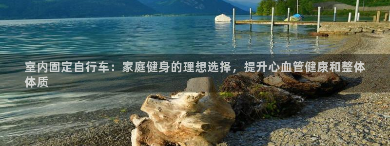 尊龙凯时ag|室内固定自行车:家庭健身的理想选择,提升心血管健康和整体
体质(图1) 尊龙凯时ag