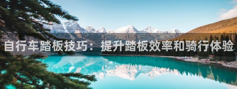 尊龙凯时 人生就是搏!平台|自行车踏板技巧:提升踏板效率和骑行体验(图1) 尊龙凯时 人生就是搏!平台