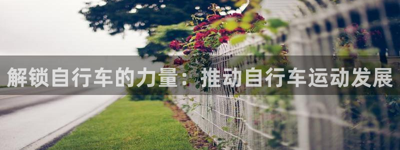 尊龙凯时人生就是博|解锁自行车的力量:推动自行车运动发展(图1) 尊龙凯时人生就是博
