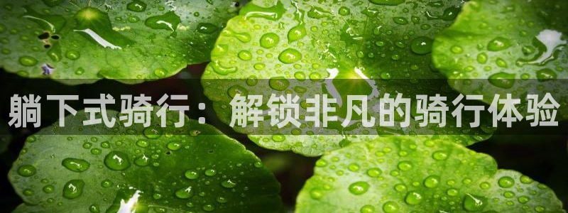 尊龙凯时 - 人生就是搏|躺下式骑行:解锁非凡的骑行体验(图1) 尊龙凯时 - 人生就是搏
