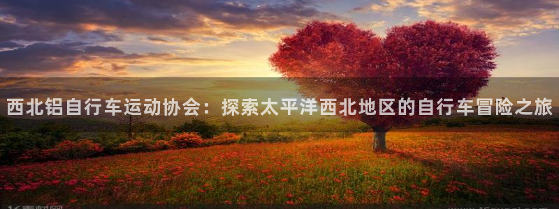 ag尊龙凯时-人生就是博|西北铝自行车运动协会:探索太平洋西北地区的自行车冒险之旅(图1) ag尊龙凯时-人生就是博