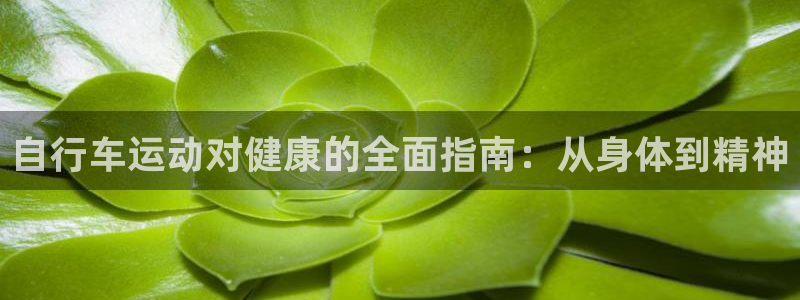 尊龙凯时z6com|自行车运动对健康的全面指南:从身体到精神(图1) 尊龙凯时z6com