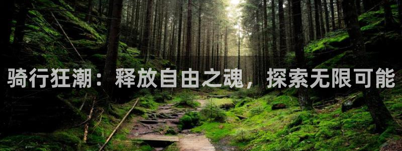 凯时尊龙登录入口|骑行狂潮:释放自由之魂,探索无限可能(图1) 凯时尊龙登录入口