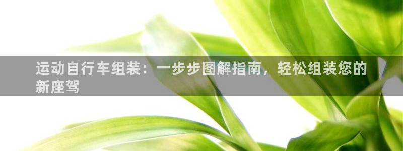 凯时尊龙官网网址|运动自行车组装:一步步图解指南,轻松组装您的
新座驾(图1) 凯时尊龙官网网址