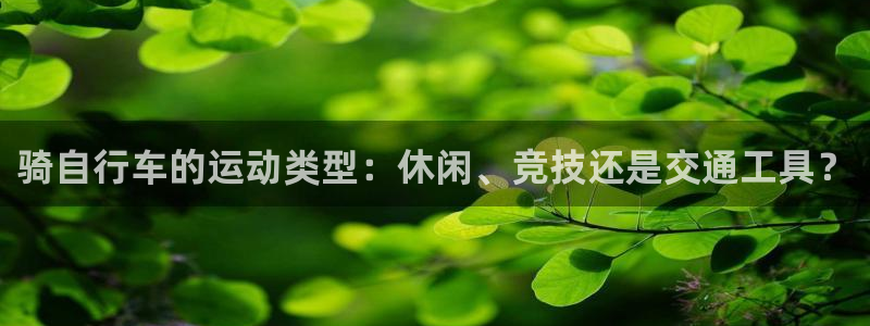 尊龙凯时人生|骑自行车的运动类型:休闲、竞技还是交通工具?(图1) 尊龙凯时人生