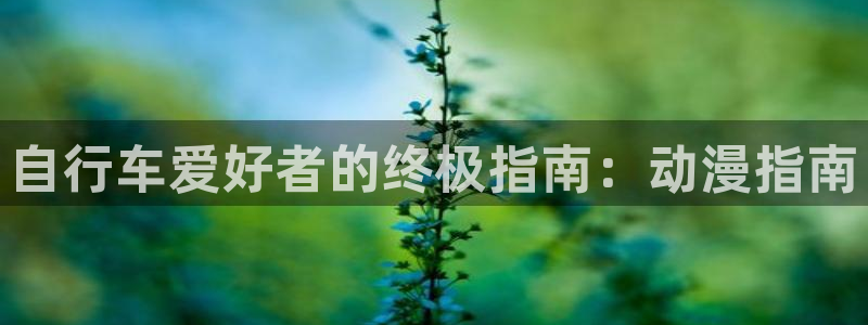 凯时尊龙登录入口|自行车爱好者的终极指南:动漫指南(图1) 凯时尊龙登录入口