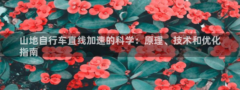 尊龙凯时·中国官方网站|山地自行车直线加速的科学:原理、技术和优化
指南(图1) 尊龙凯时·中国官方网站