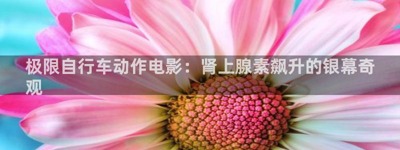 尊龙凯时登录首页|极限自行车动作电影:肾上腺素飙升的银幕奇
观(图1) 尊龙凯时登录首页