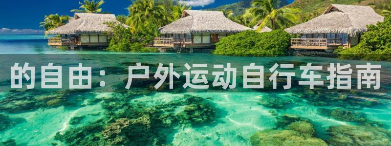 ag尊龙凯时人生就是博|的自由:户外运动自行车指南(图1) ag尊龙凯时人生就是博