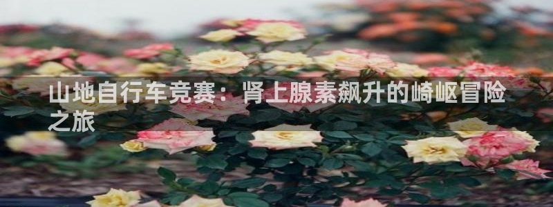 凯时尊龙官网app|山地自行车竞赛:肾上腺素飙升的崎岖冒险
之旅(图1) 凯时尊龙官网app