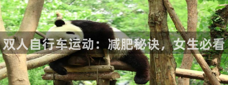 尊龙凯时网站|双人自行车运动:减肥秘诀,女生必看(图1) 尊龙凯时网站