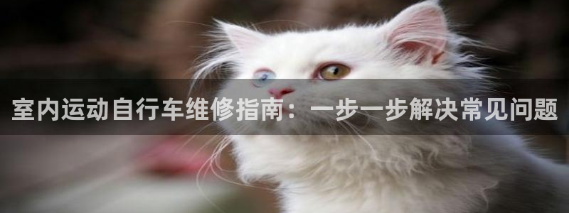 尊龙凯时中国官网|室内运动自行车维修指南:一步一步解决常见问题(图1) 尊龙凯时中国官网