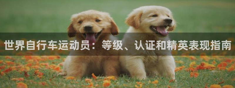 尊龙凯时人生就博官网登录|世界自行车运动员:等级、认证和精英表现指南(图1) 尊龙凯时人生就博官网登录