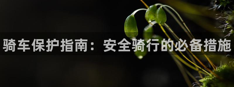 ag尊龙凯时官网|骑车保护指南:安全骑行的必备措施(图1) ag尊龙凯时官网