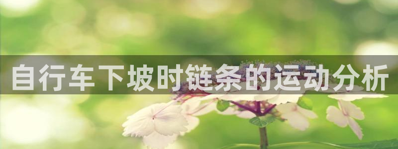 凯时尊龙登录入口|自行车下坡时链条的运动分析(图1) 凯时尊龙登录入口