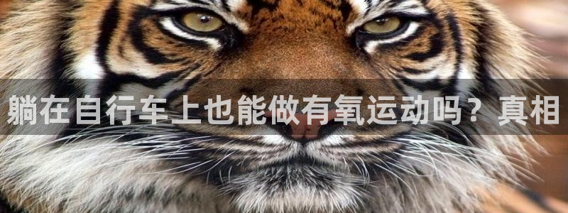 尊龙凯时·中国官方网站|躺在自行车上也能做有氧运动吗?真相(图1) 尊龙凯时·中国官方网站