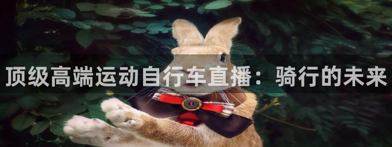 尊龙凯时-人生就是博中国|顶级高端运动自行车直播:骑行的未来(图1) 尊龙凯时-人生就是博中国