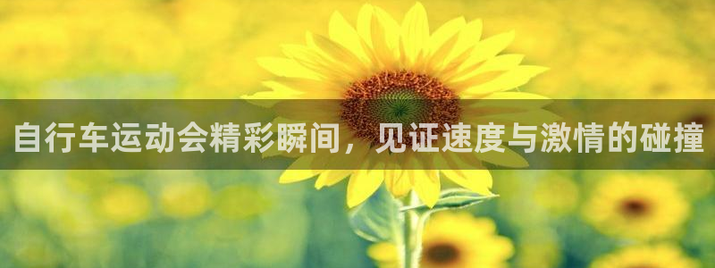 尊龙会|自行车运动会精彩瞬间,见证速度与激情的碰撞(图1) 尊龙会